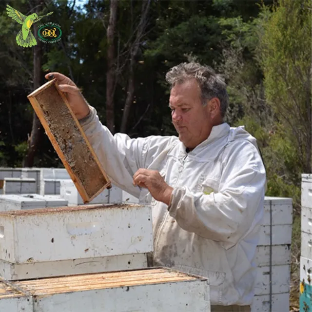 【THE TASMANIAN HONEY COMPANY】澳洲塔斯馬尼亞島藍桉生蜂蜜-500g(Blue Gum)