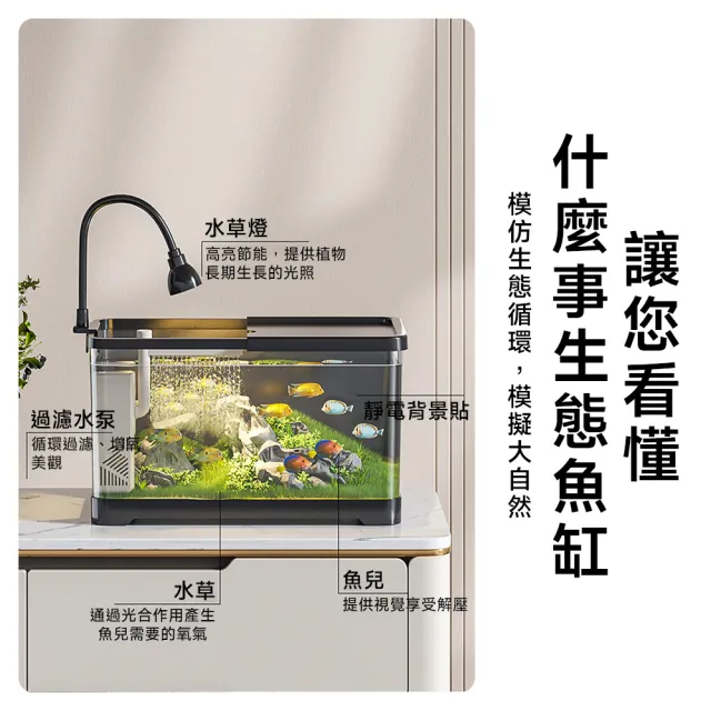 【常隆】魚缸 生態魚缸 桌面小型魚缸 懶人魚缸 壓克力魚缸 生態水族箱(黑色40款升級套餐)