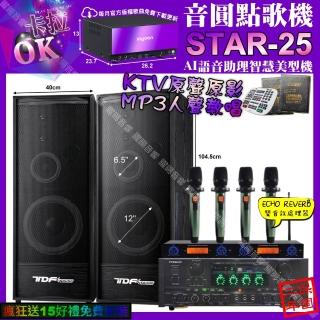 【音圓】STAR-25+PYRAMIDAK-900+TDFK-124+YAKOAD-100X2(卡拉OK組合/音響設備)