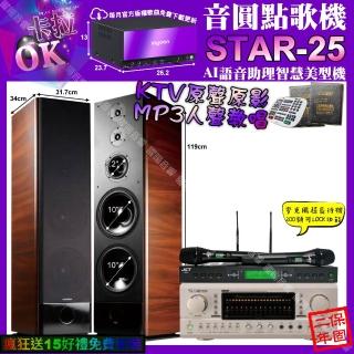 【音圓】STAR-25+TDFP-3PRO+TDFK-105+JCTJ-9953(卡拉OK組合/音響設備)