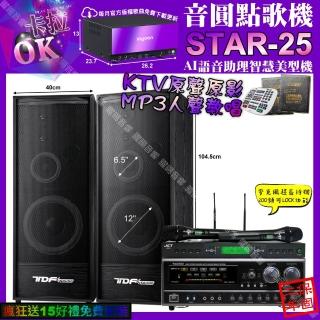 【音圓】STAR-25+NaGaSaKiDSP-X1BT+TDFK-124+JCTJ-9953(卡拉OK組合/音響設備)