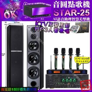 【音圓】STAR-25+PYRAMIDAK-900+TDFM-6+YAKOAD-100X2(卡拉OK組合/音響設備)