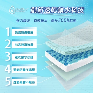 【添寧】長效型 成人紙尿褲XXL(10片x6包/箱購 黏貼型)