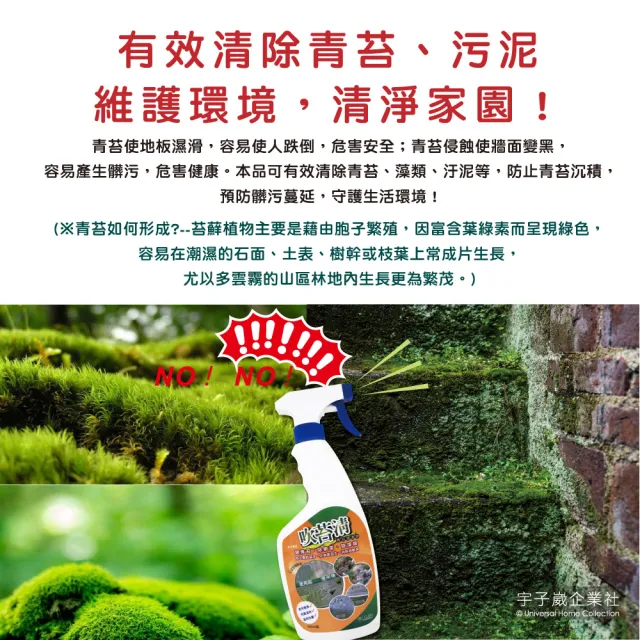【吹苔清】除青苔清潔劑-2公升大罐裝(園藝植栽清潔人行道頂樓外牆石雕柵欄花園造景戶外清潔洗劑)