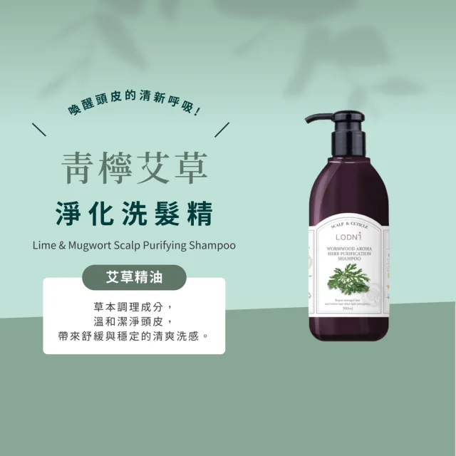 【LODNI 蘿德妮】青檸艾草淨化洗髮精300mL(油性頭皮適用)