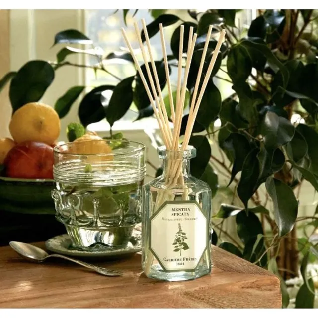 【Carriere Freres】法國植物學家 天然精油擴香190mL(多款任選)