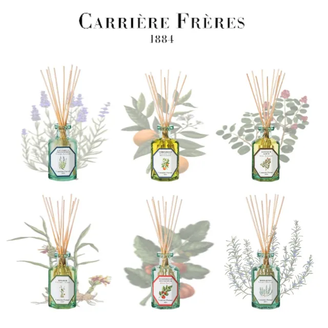 【Carriere Freres】法國植物學家 天然精油擴香190mL(多款任選)