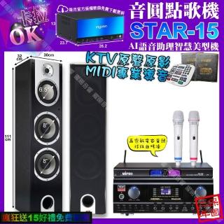 【音圓】STAR-15+TDF HK-300S+YAKO A-803+MIPRO MR-198(卡拉OK組合/音響裝置)