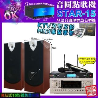 【音圓】STAR-15+TDF P-3 PRO+ENSING ESP-503+YAKO AD-300U(卡拉OK組合/音響設備)