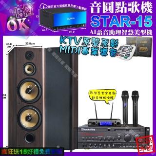 【音圓】STAR-15+AudioKing PRO-X6+FNSD SP-903N+JBL VM-300(卡拉OK組合/音響設備)
