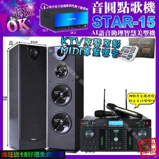 【音圓】STAR-15+FNSD HR-2501N+Pianor PA-983+YAKO AD-300U(卡拉OK組合/音響設備)
