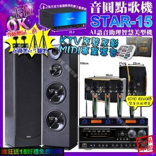 【音圓】STAR-15+NaGaSaKi DSP-X1BT+Pianor PA-983+ROCKIT OK-600+YAKO AD-100X2(卡拉OK組合/音響設備)