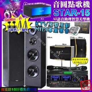【音圓】STAR-15+AudioKing HD-1000+Pianor PA-983+ROCKIT OK-600+JCT J-9953(卡拉OK組合/音響設備)