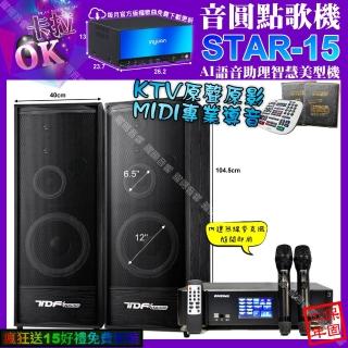 【音圓】STAR-15+ENSING Pro3 數位 含無線麥克風2支+TDF K-124(卡拉OK組合/音響設備)
