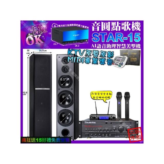 【音圓】卡拉OK組合(STAR-15+AudioKing PRO-X6+TDF M-6+JBL VM-300/音響設備)