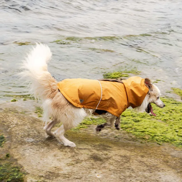 【CAMPET】Shield-X 全境防水雨衣-日落黃-XL-2XL(寵物全防水雨衣)