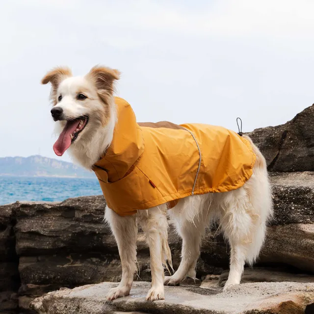 【CAMPET】Shield-X 全境防水雨衣-日落黃-XL-2XL(寵物全防水雨衣)