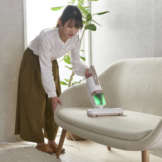 【IRIS OHYAMA 愛麗思歐雅瑪】大拍5.0除蟎清淨機-贈HEPA13銀離子濾網2入