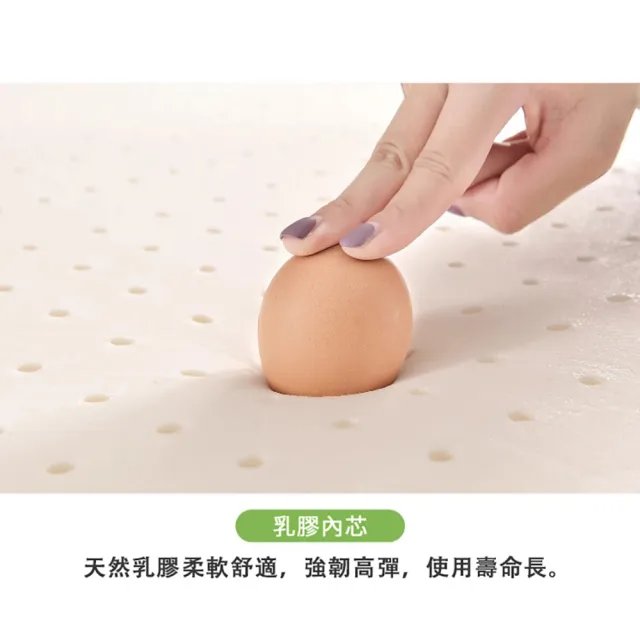 【HABABY環安家居】天然乳膠床墊 加大單人尺寸/135床型上鋪適用(馬來西亞進口 學生宿舍床墊 租屋首選)