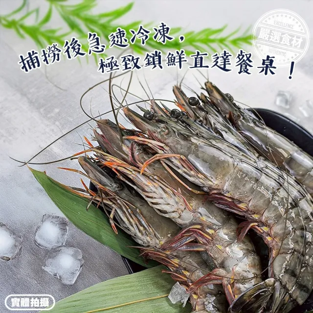 【三頓飯】巨無霸野生海草蝦(4盒_6-7尾/淨重500g)