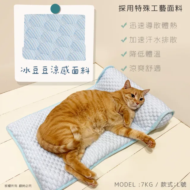【貓本屋】冰絲涼感 豆豆寵物睡墊靠枕(L號/60x40cm)