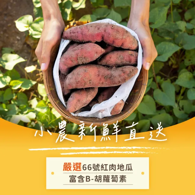 【iPaw】100%純天然地瓜乾 100g/包(狗零食/地瓜乾/台灣製造/寵物零食)