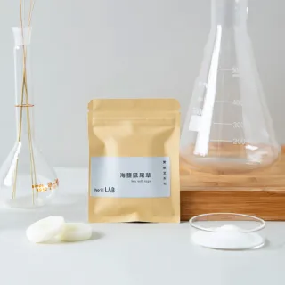 【hoi!LAB】實驗室香氛 車用香氛補充片2入組(多款味道可選)
