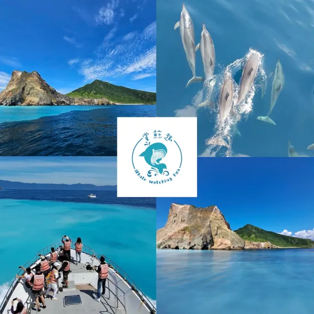 【龜山島賞鯨趣】登島+環繞宜蘭龜山島八景+賞鯨(三合一)假日不加價(歐享券-玩樂/生活券)