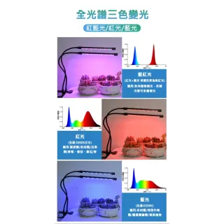 【ROYAL LIFE 皇室生活】LED可定時植物生長燈-四管(多肉植物燈/水草燈/花卉燈/夾燈/燈條/檯燈)