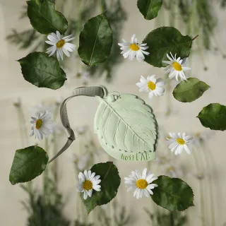 【hoi!LAB】台灣百岳香氛- 擴香石掛片(多款味道可選)