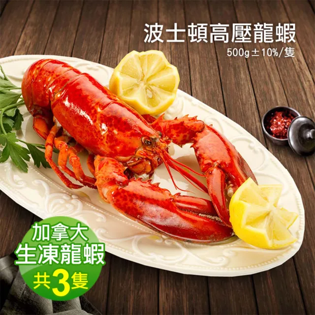 【2026】龍蝦推薦ptt》10款高評價人氣品牌排行榜 | 好吃美食的八里人