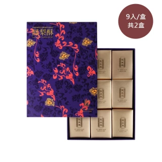 【舊振南】鳳梨酥禮盒-9入-共2盒-商品均附提袋(全年熱賣指定伴手禮)