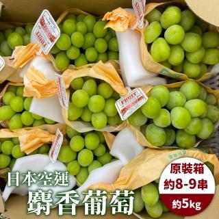 【WANG 蔬果】日本麝香無籽葡萄8-9串x1箱(約5kg/箱 原裝箱)