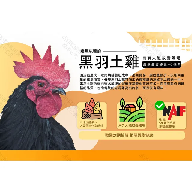 【生達醫藥集團】活沛滴雞精8包X6盒(55ml/包 嚴選黑羽土雞/含BCAA)