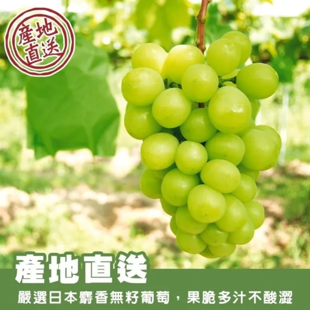 【WANG 蔬果】日本晴王麝香葡萄8-9串x1箱(5kg/箱_原裝箱_空運直送)