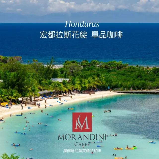 【MORANDINI 摩蘭迪尼菁英精品咖啡】宏都拉斯花綻 單品咖啡豆1磅(新鮮到貨、頂級精品咖啡的單品代表)