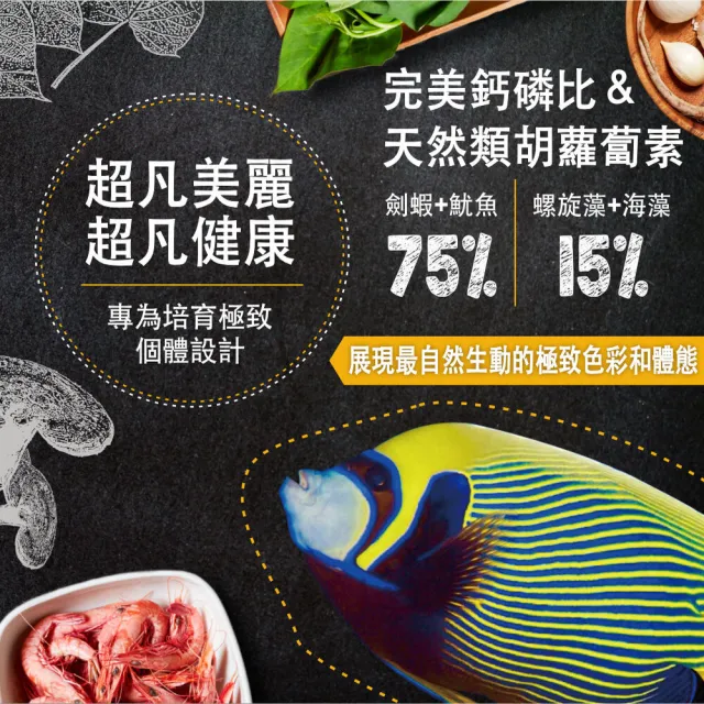 【鮮蝦食譜】大型挑嘴 海水熱帶魚-全營養魷魚大蒜鮮蝦堡1150ml(倒吊魚 神仙魚 海水魚飼料 大型海水魚飼料)