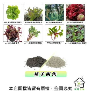 【蔬菜工坊】新手生菜類種子系列-各包裝數量詳見內文及圖片說明