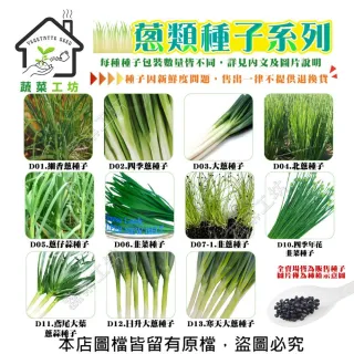 【蔬菜工坊】蔥類種子系列-各種包裝數量詳見內文及圖片說明-蔥 細(蔥 細香蔥 四季蔥 大蔥 北蔥 蔥仔蒜)