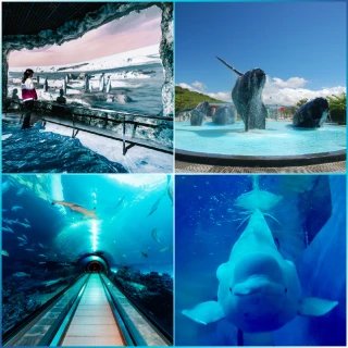 【屏東海洋生物館】10/4偷殺! 雙人★單日門票