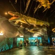 【屏東海洋生物館】10/4偷殺! 雙人★單日門票