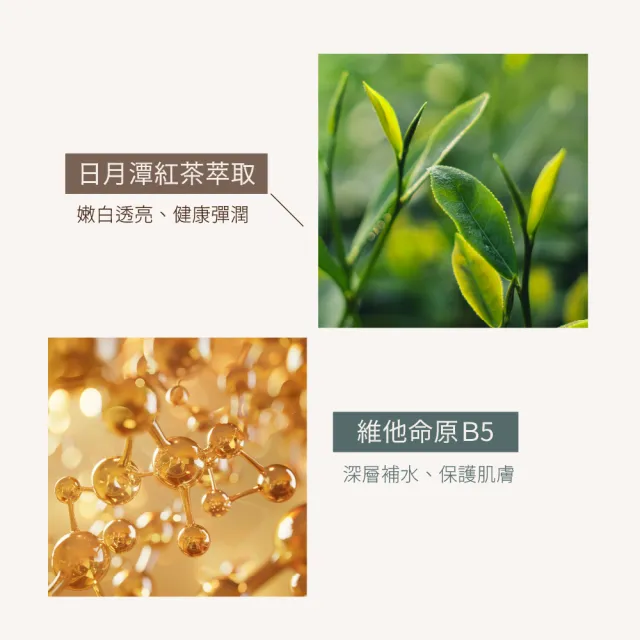 【TRIFORCE 翠芙思】酵母胺基酸洗顏3件組 贈化妝包(洗面乳 推薦 潔顏露 痘痘肌  敏感肌 保濕 養膚型潔顏露)