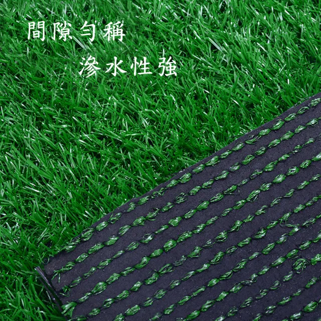 【poko】黑底仿真草皮 100cmX300cm(草高2.5cm 附地釘 園藝 景觀草 草坪 草皮 草地 人工草皮)