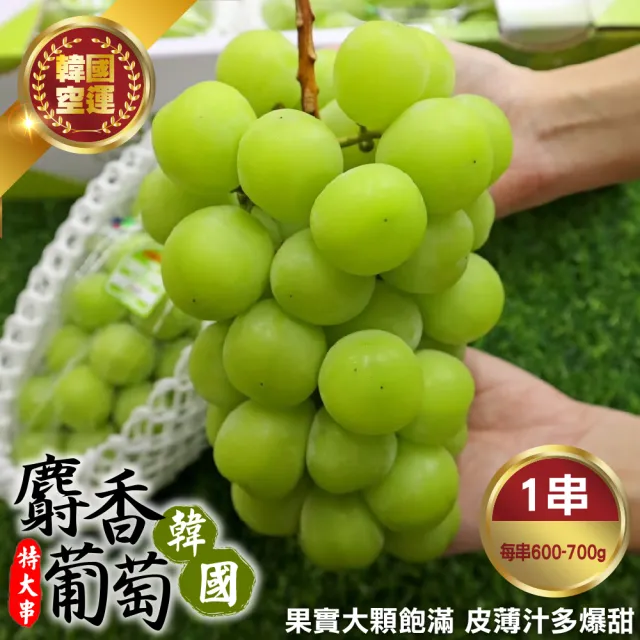 【WANG 蔬果】韓國麝香葡萄1串x1盒(600-700g/串_水果禮盒/三節禮盒)