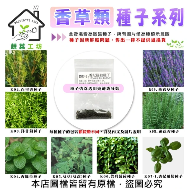 蔬菜工坊