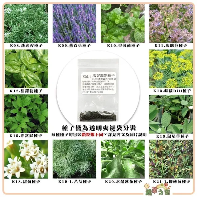 【蔬菜工坊】香草類種子系列-各包裝數量詳見內文及圖片(貓薄荷 羅勒 百里香 洋甘菊)
