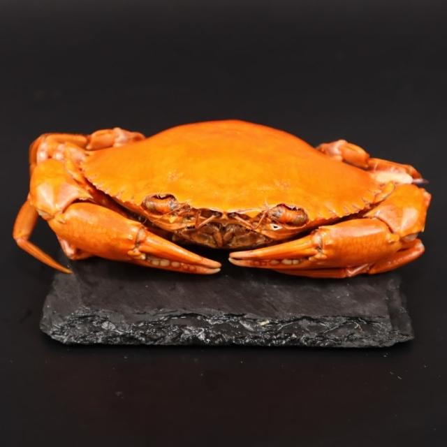 【三頓飯】熟凍爆卵母紅蟳(共4隻_2隻/約240g/包)