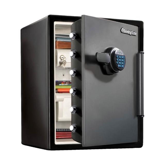 SENTRYSAFE SFW205FYC