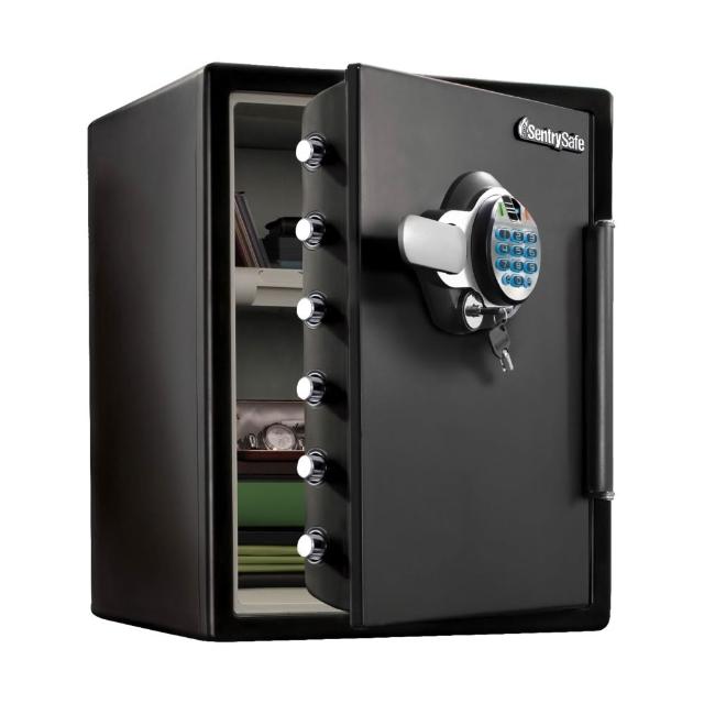 SENTRYSAFE SFW205BXC