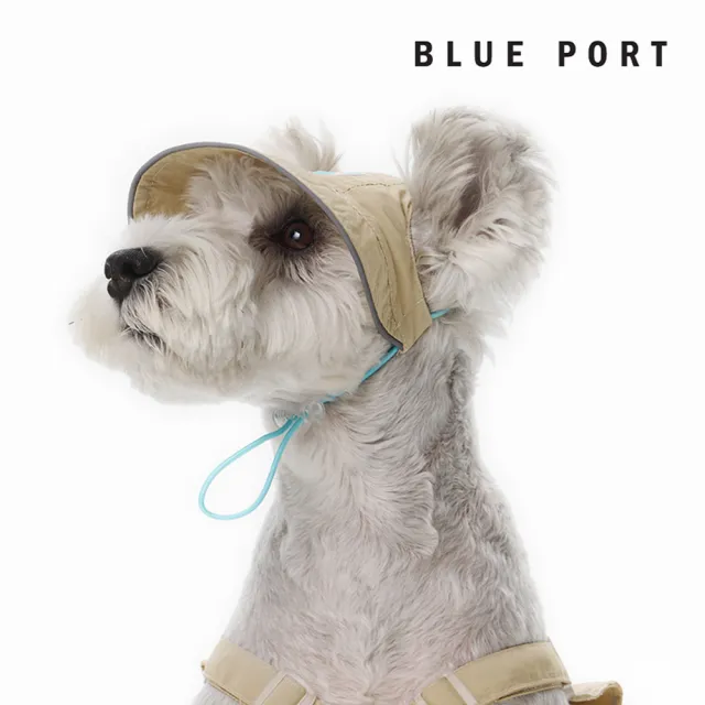 【BLUE PORT】輕薄防曬遮陽帽(透氣不悶熱 寵物防曬帽 露耳設計 寵物戶外裝備 毛孩時尚單品)